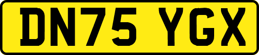 DN75YGX