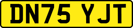 DN75YJT