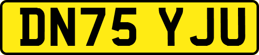 DN75YJU