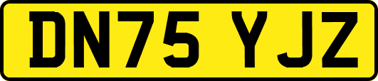 DN75YJZ