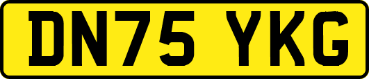 DN75YKG