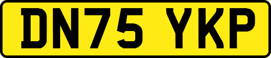DN75YKP