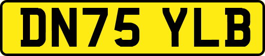 DN75YLB