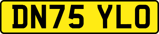 DN75YLO