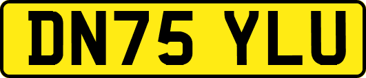DN75YLU