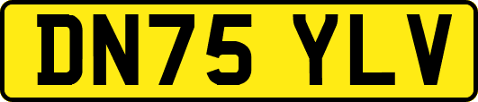 DN75YLV