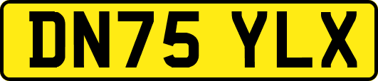 DN75YLX