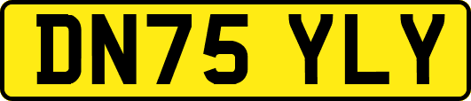 DN75YLY
