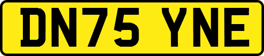 DN75YNE