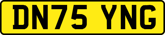 DN75YNG