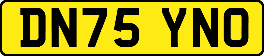DN75YNO