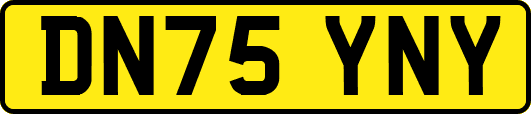 DN75YNY