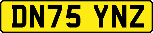 DN75YNZ