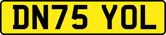 DN75YOL