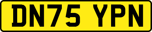 DN75YPN