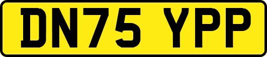 DN75YPP