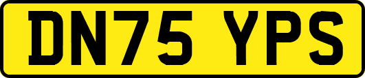 DN75YPS