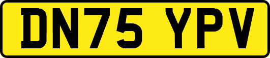 DN75YPV