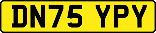 DN75YPY