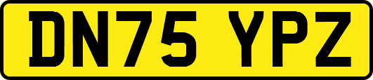 DN75YPZ