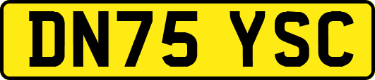 DN75YSC