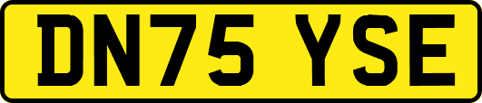 DN75YSE