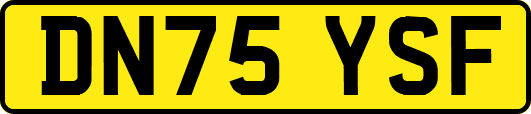 DN75YSF