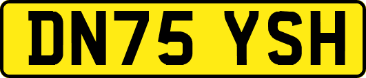 DN75YSH