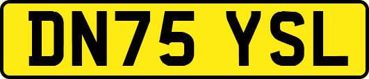 DN75YSL