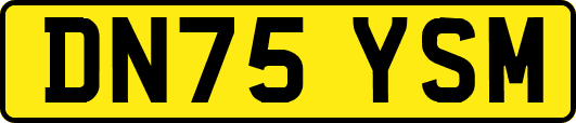 DN75YSM