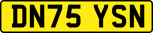 DN75YSN