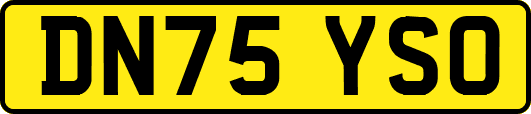 DN75YSO