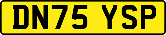 DN75YSP