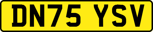 DN75YSV