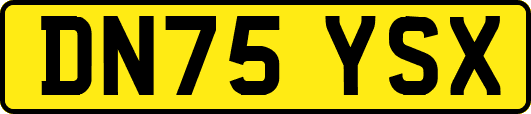 DN75YSX