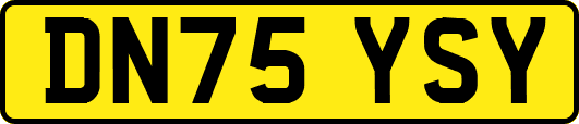 DN75YSY