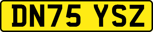 DN75YSZ