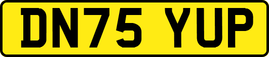 DN75YUP