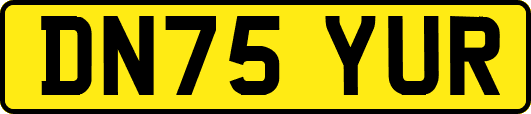 DN75YUR