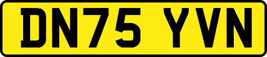 DN75YVN