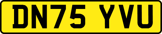 DN75YVU