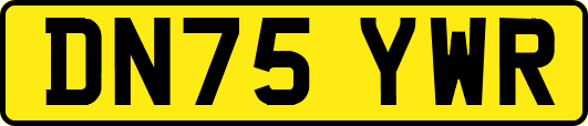 DN75YWR
