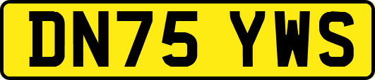 DN75YWS