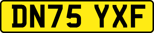 DN75YXF