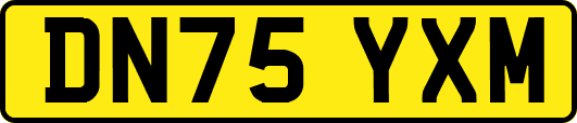 DN75YXM