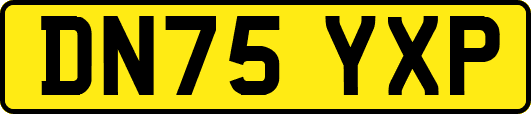 DN75YXP