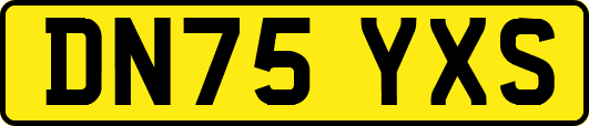 DN75YXS