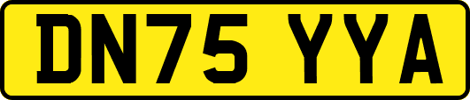 DN75YYA