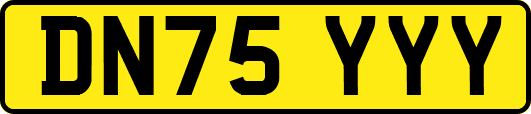 DN75YYY