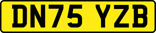 DN75YZB